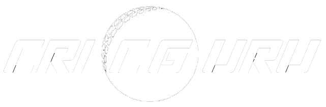 Cricguru logo